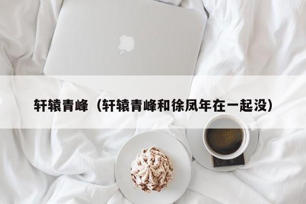 轩辕青峰（轩辕青峰和徐凤年在一起没）