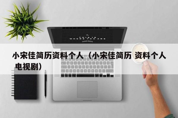 小宋佳简历资料个人（小宋佳简历 资料个人 电视剧）