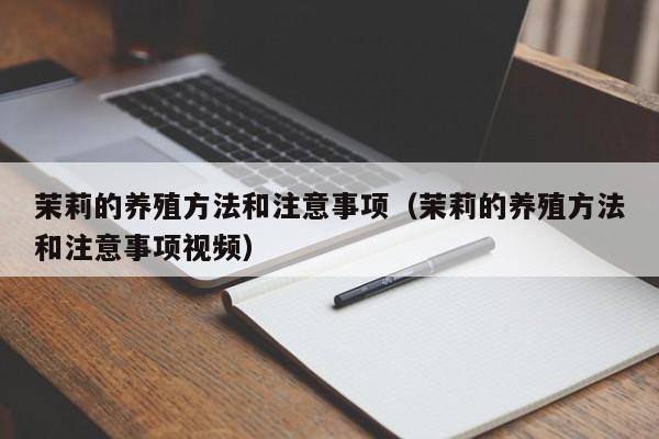 茉莉的养殖方法和注意事项（茉莉的养殖方法和注意事项视频）