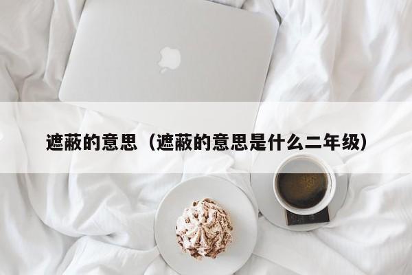 遮蔽的意思（遮蔽的意思是什么二年级）