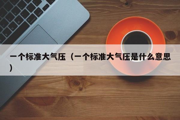 一个标准大气压（一个标准大气压是什么意思）