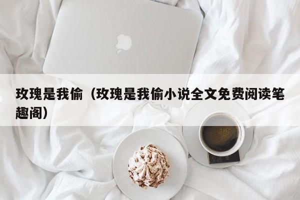 玫瑰是我偷（玫瑰是我偷小说全文免费阅读笔趣阁）