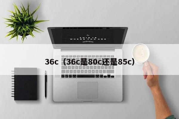 36c（36c是80c还是85c）