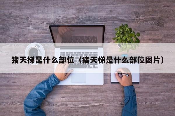 猪天梯是什么部位（猪天梯是什么部位图片）