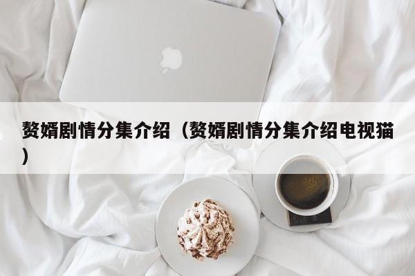 赘婿剧情分集介绍（赘婿剧情分集介绍电视猫）