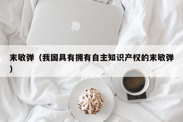 末敏弹（我国具有拥有自主知识产权的末敏弹）