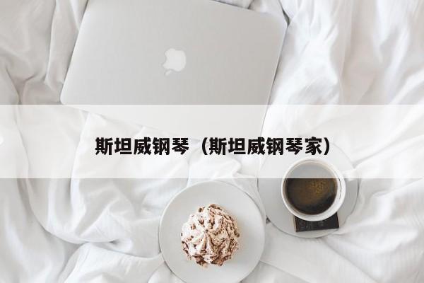 斯坦威钢琴（斯坦威钢琴家）