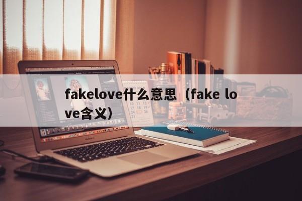fakelove什么意思（fake love含义）