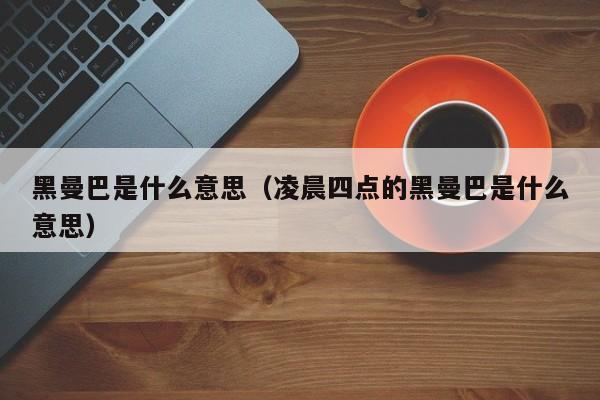 黑曼巴是什么意思（凌晨四点的黑曼巴是什么意思）