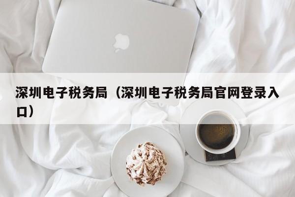 深圳电子税务局（深圳电子税务局官网登录入口）
