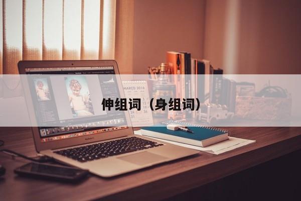 伸组词（身组词）