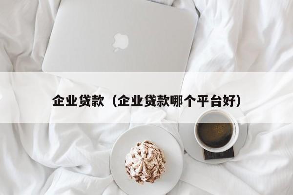 企业贷款（企业贷款哪个平台好）