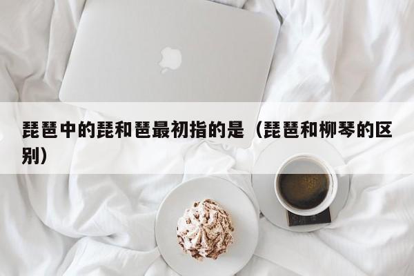琵琶中的琵和琶最初指的是（琵琶和柳琴的区别）