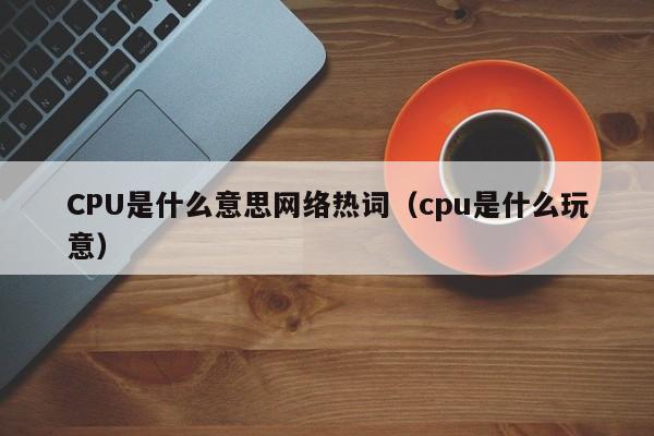 CPU是什么意思网络热词（cpu是什么玩意）