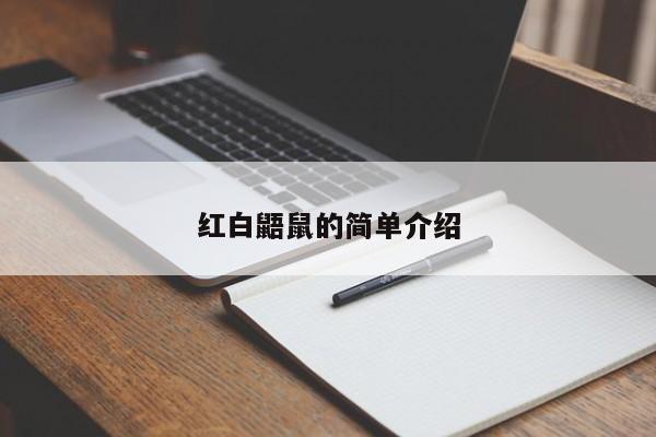 红白鼯鼠的简单介绍
