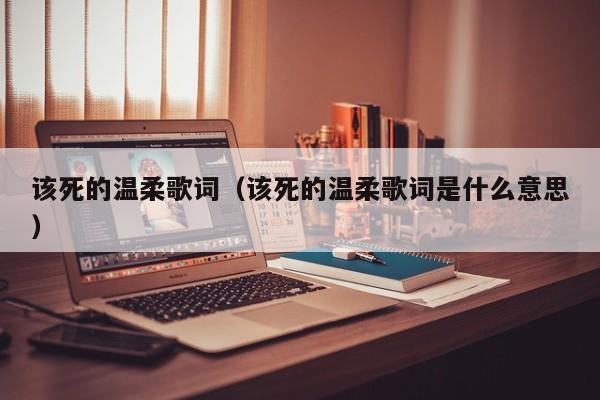 该死的温柔歌词（该死的温柔歌词是什么意思）