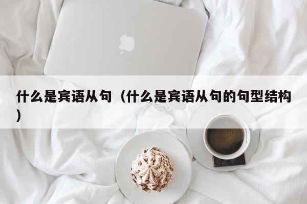 什么是宾语从句（什么是宾语从句的句型结构）