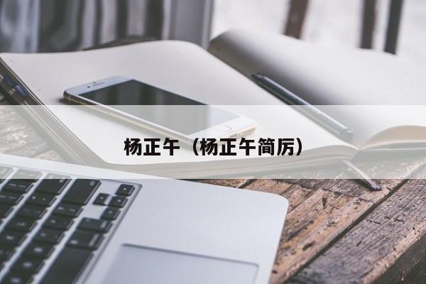 杨正午（杨正午简厉）