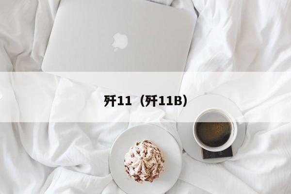 歼11（歼11B）