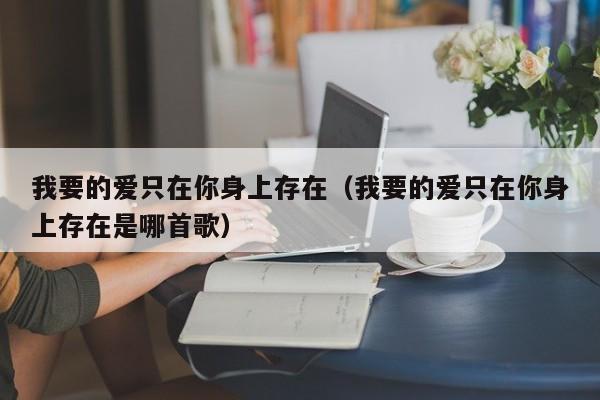 我要的爱只在你身上存在（我要的爱只在你身上存在是哪首歌）