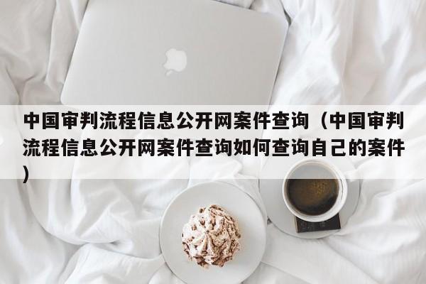 中国审判流程信息公开网案件查询（中国审判流程信息公开网案件查询如何查询自己的案件）