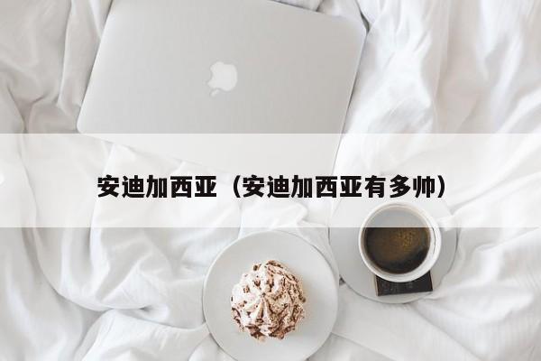 安迪加西亚（安迪加西亚有多帅）