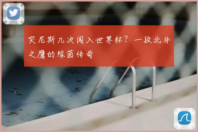 突尼斯几次闯入世界杯?一段北非之鹰的绿茵传奇