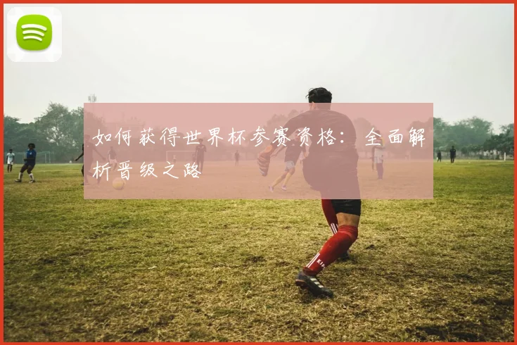 如何获得世界杯参赛资格:全面解析晋级之路