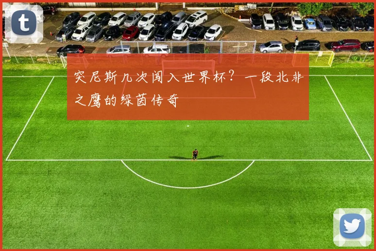 突尼斯几次闯入世界杯?一段北非之鹰的绿茵传奇