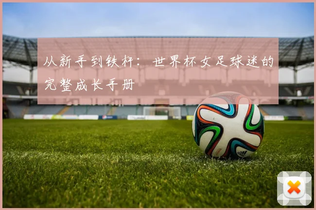 从新手到铁杆：世界杯女足球迷的完整成长手册