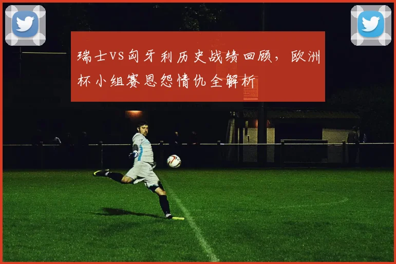 瑞士vs匈牙利历史战绩回顾，欧洲杯小组赛恩怨情仇全解析