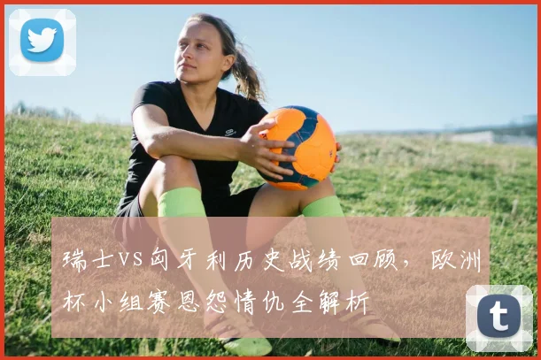 瑞士vs匈牙利历史战绩回顾，欧洲杯小组赛恩怨情仇全解析