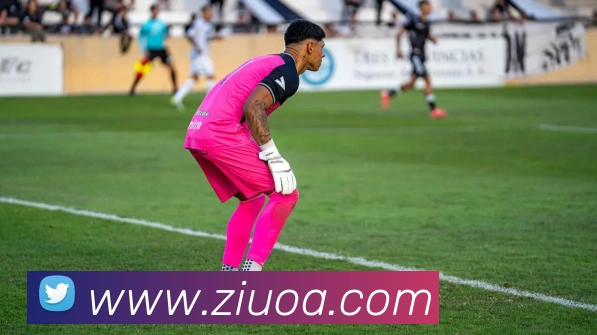 leyu乐鱼官方官网平台生态图