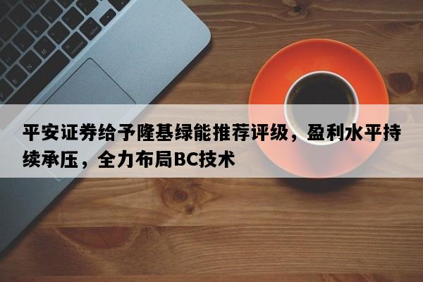 平安证券给予隆基绿能推荐评级，盈利水平持续承压，全力布局BC技术