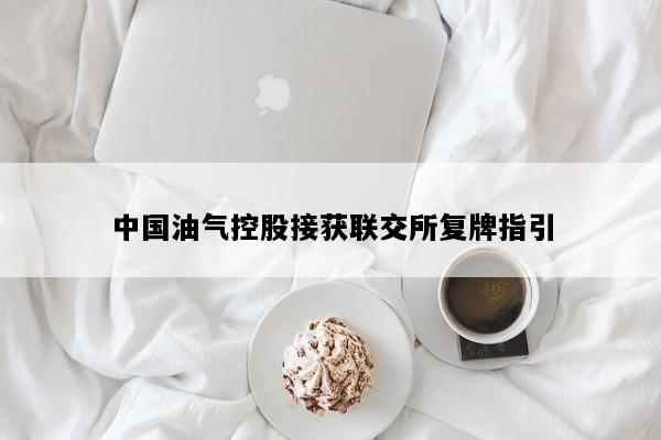 中国油气控股接获联交所复牌指引