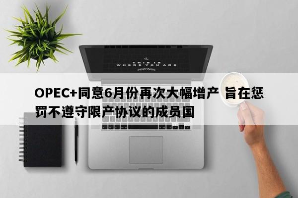 OPEC+同意6月份再次大幅增产 旨在惩罚不遵守限产协议的成员国