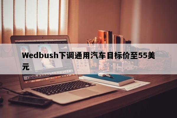 Wedbush下调通用汽车目标价至55美元