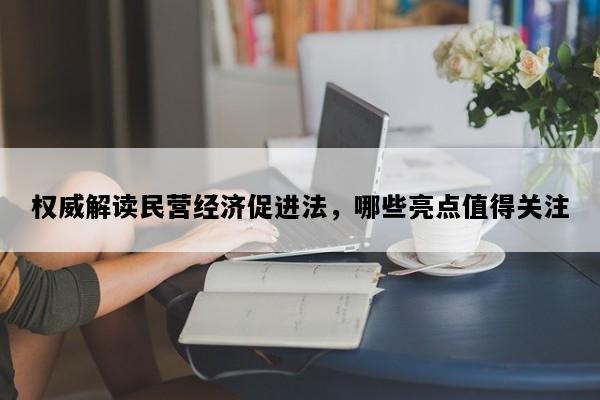 权威解读民营经济促进法，哪些亮点值得关注