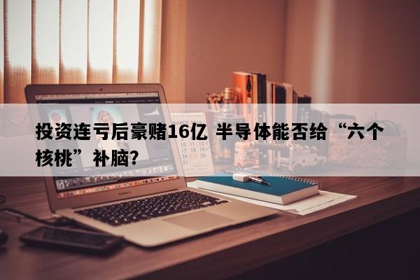 投资连亏后豪赌16亿 半导体能否给“六个核桃”补脑？