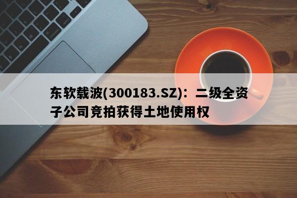 东软载波(300183.SZ)：二级全资子公司竞拍获得土地使用权