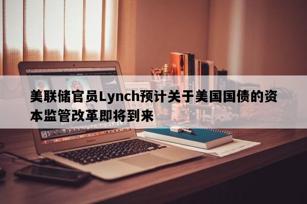 美联储官员Lynch预计关于美国国债的资本监管改革即将到来