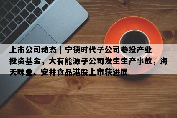 上市公司动态 | 宁德时代子公司参投产业投资基金，大有能源子公司发生生产事故，海天味业、安井食品港股上市获进展