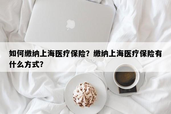如何缴纳上海医疗保险？缴纳上海医疗保险有什么方式？