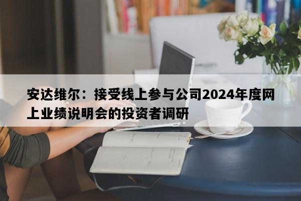 安达维尔：接受线上参与公司2024年度网上业绩说明会的投资者调研
