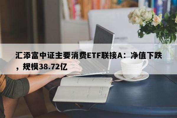 汇添富中证主要消费ETF联接A：净值下跌，规模38.72亿