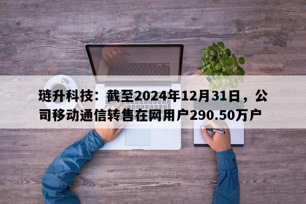 琏升科技：截至2024年12月31日，公司移动通信转售在网用户290.50万户