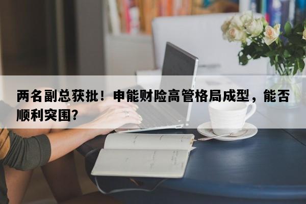 两名副总获批！申能财险高管格局成型，能否顺利突围？