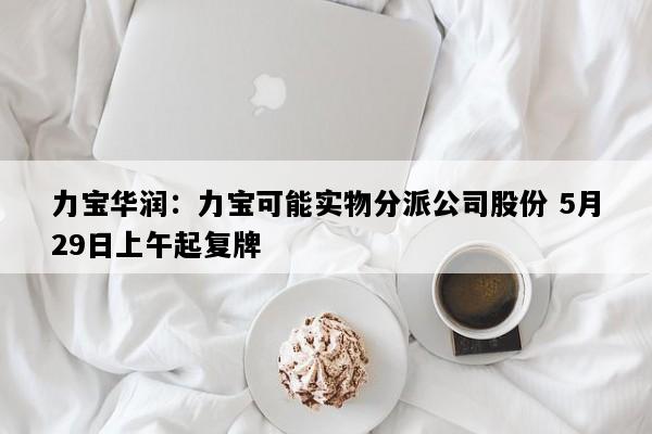 力宝华润：力宝可能实物分派公司股份 5月29日上午起复牌
