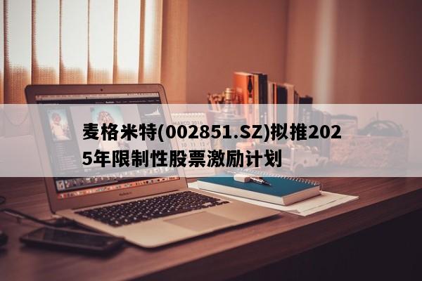 麦格米特(002851.SZ)拟推2025年限制性股票激励计划