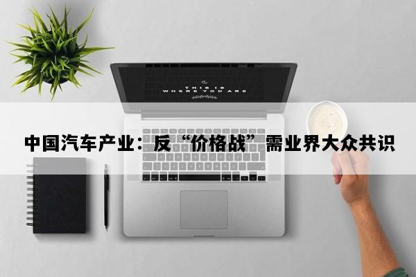 中国汽车产业：反“价格战”需业界大众共识